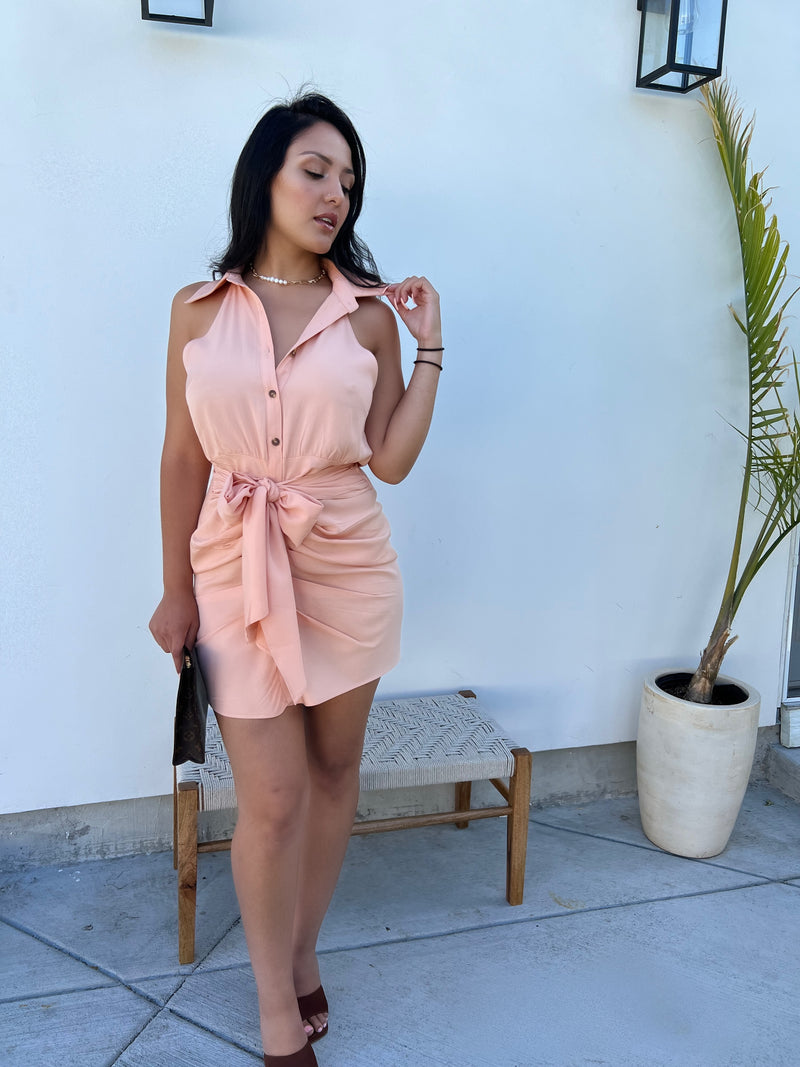 Peachy and Fine Button Down Dress